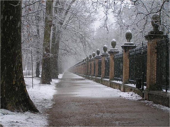 Jardin du Prince