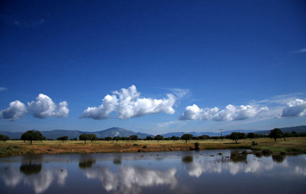 Les zones humides de Cabañeros