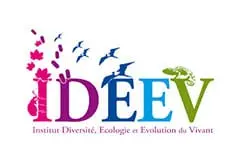 Audioguides IDEEV
