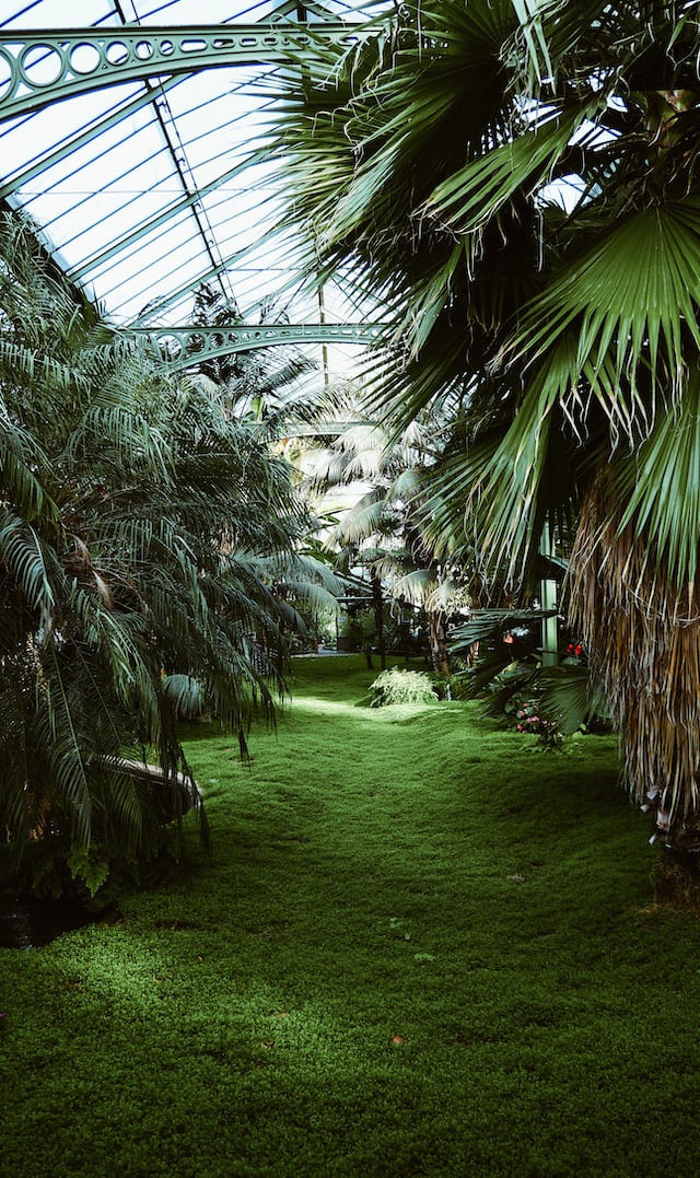 13. Audioguide de Stuttgart. La Wilhelma.