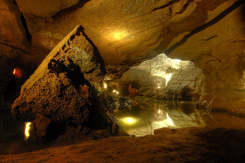 Guide audio des Grottes de Saint-Joseph - chien pancho