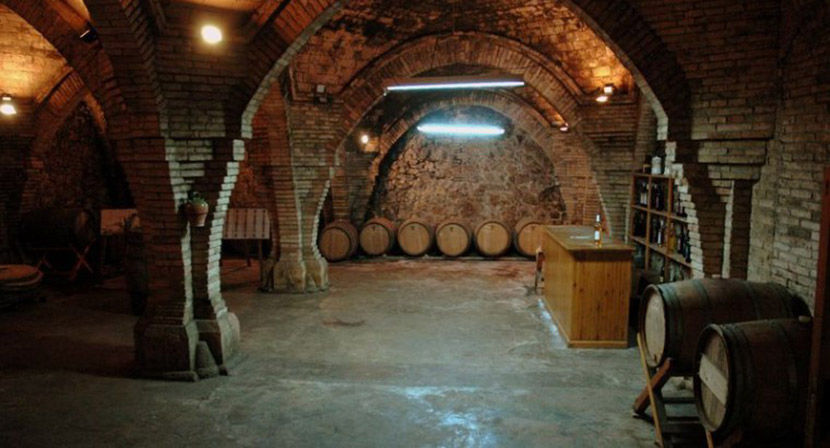 Guide audio de la Cathédrale du Vin - Cave à vin